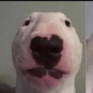 Meet your Posher, Issa